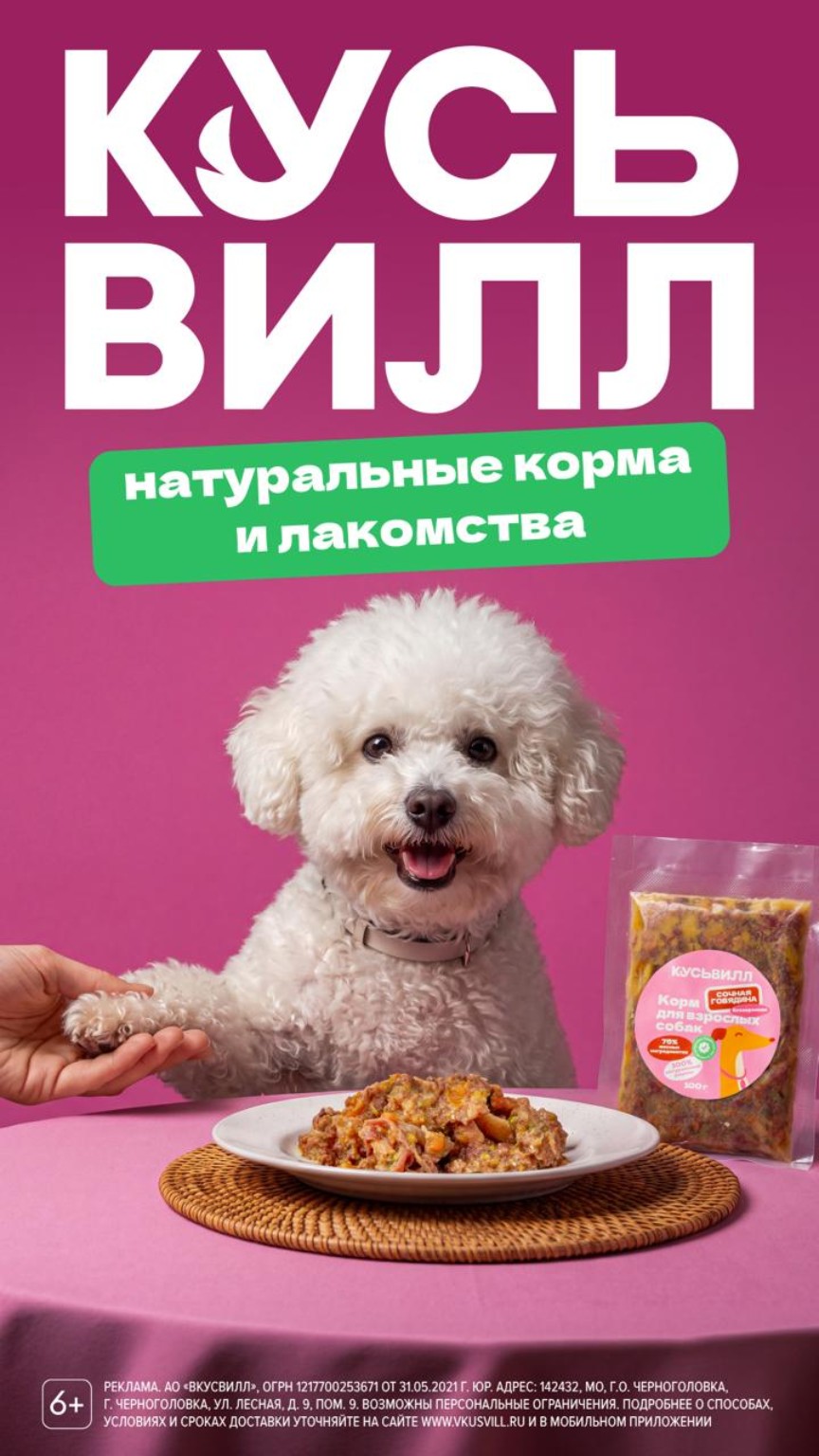 KusVill beef dog food creative with a white dog